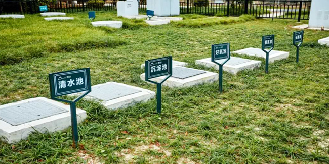 1620865261830502.jpg 5.jpg